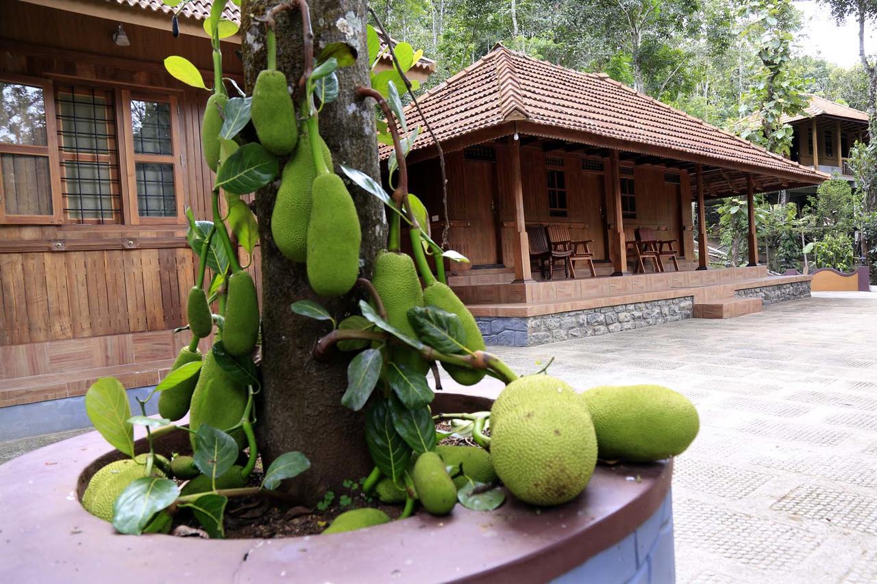 Kalppavanam Heritage Resort テッカディ エクステリア 写真