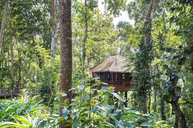 Kalppavanam Heritage Resort テッカディ エクステリア 写真