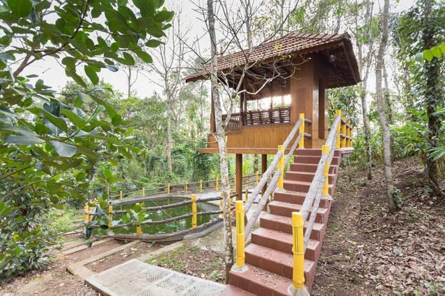Kalppavanam Heritage Resort テッカディ エクステリア 写真